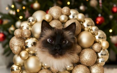 How to Keep Your Pets Safe This Holiday Season