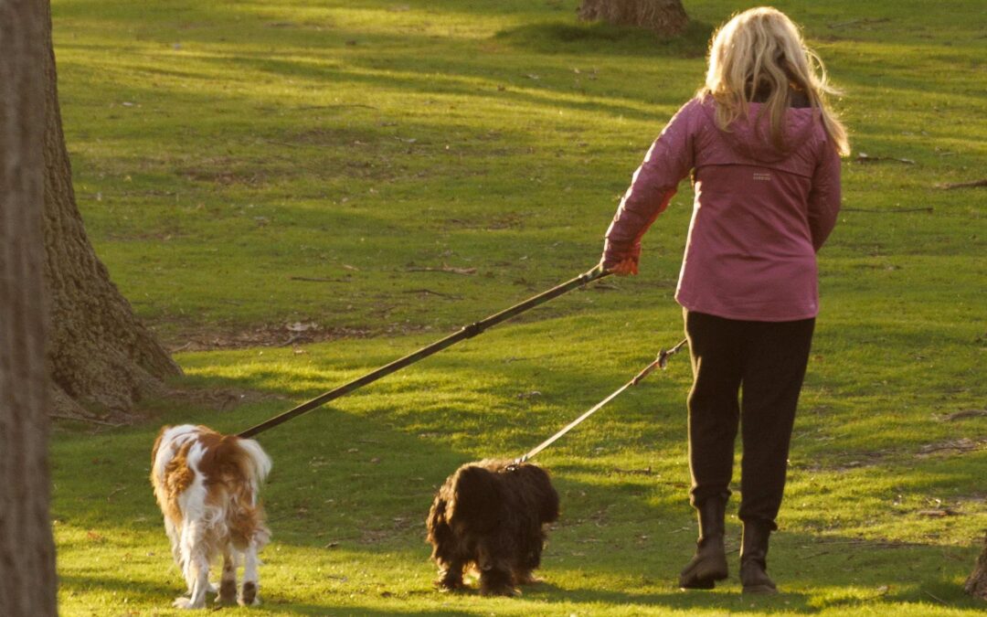 woman walking with dogs in park